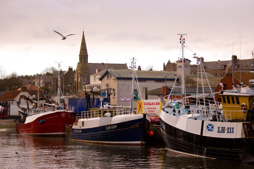 This image has an empty alt attribute; its file name is Eyemouth-2008-e-1024x682.jpg